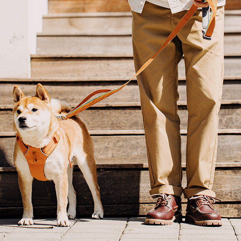 Casual Leather Shoes
